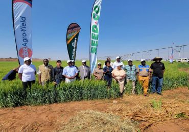 Inaugurato ufficialmente il progetto di produzione di energia solare e di pompaggio dell'acqua per l'irrigazione di Wanjin, che promuove lo sviluppo agricolo in Zimbabwe
