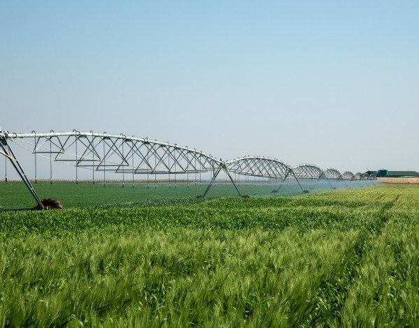L'impianto di irrigazione a perno centrale JNTECH da 168 kWp alimentato da energia solare è stato utilizzato con successo in Zimbabwe