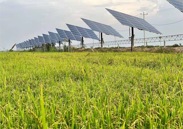 Sistema di pompaggio solare da 55 kW in Cambogia