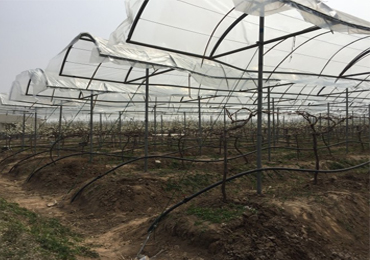 Progetto di irrigazione a goccia solare da 7,5 kW a Xuzhou