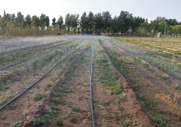 Progetto dimostrativo di irrigazione dei terreni agricoli nello Shaanxi settentrionale